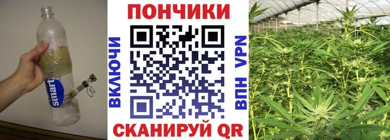 Купить закладку Элиста Амфетамин  Альфа ПВП  ГАШ  Меф  Марихуана 