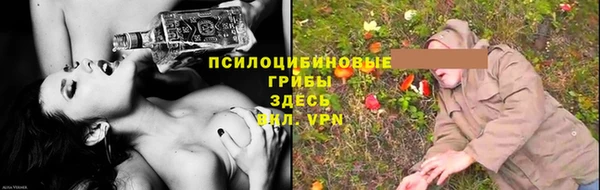 шишки Вяземский