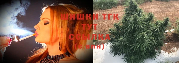 стаф Вязники