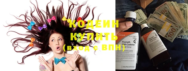 шишки Вяземский