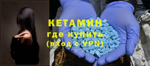шишки Вяземский